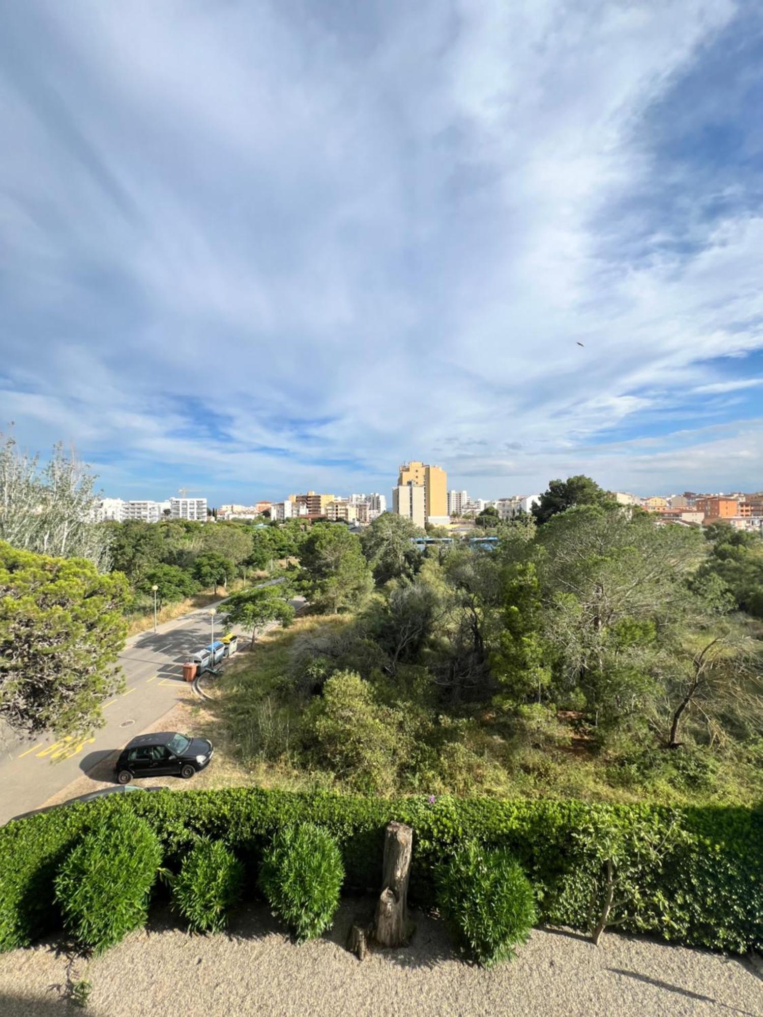 3 Room Apartment, 500M To Beach, Swimming Pool, Nice Terrace 로지즈 외부 사진
